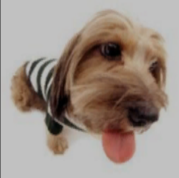 点击查看原图 1111111111111.png